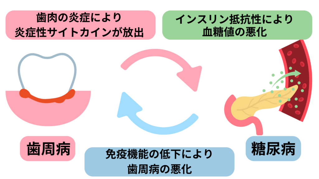 歯周病と糖尿病の関係