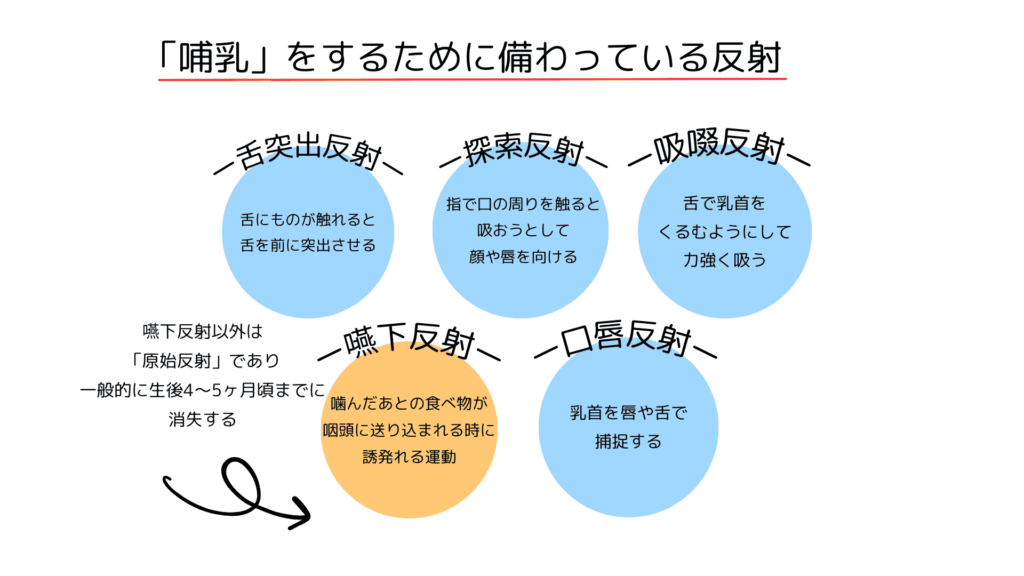 哺乳のための「機能」