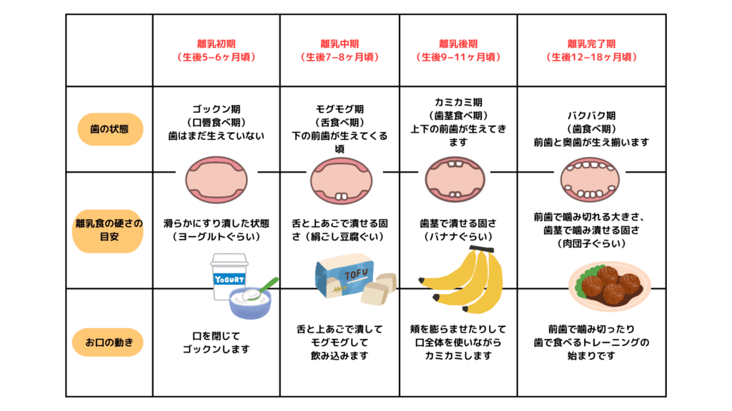 0歳児からの摂食・嚥下指導