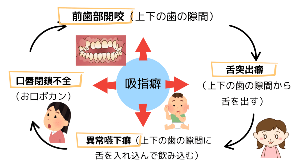 成熟(幼児)型嚥下の獲得の重要性