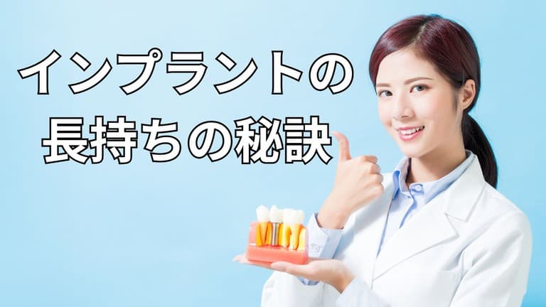 インプラントの模型を持った歯科医師