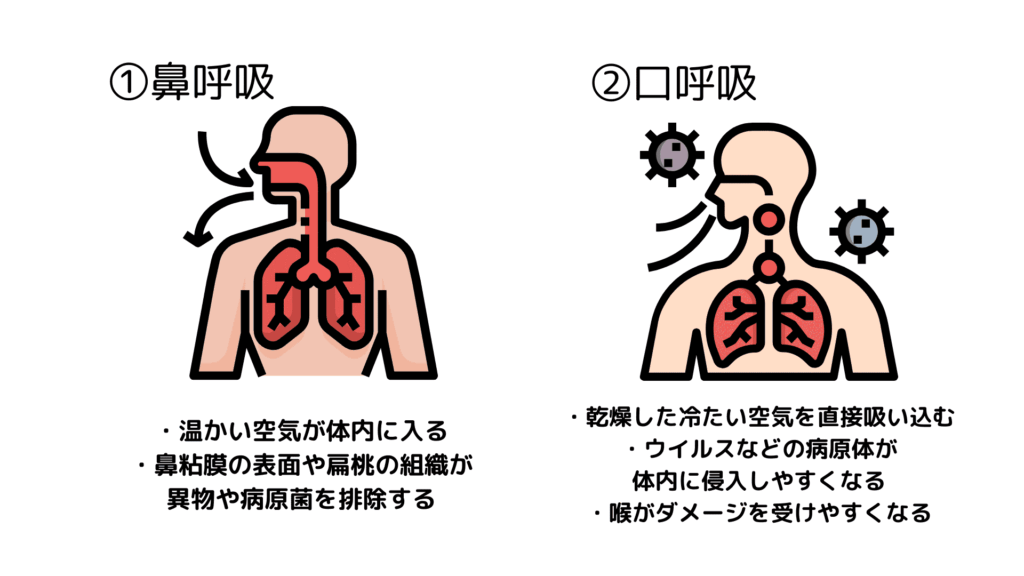 鼻呼吸と口呼吸の違い