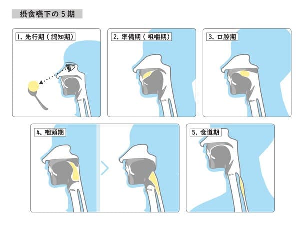 舌が動く様子