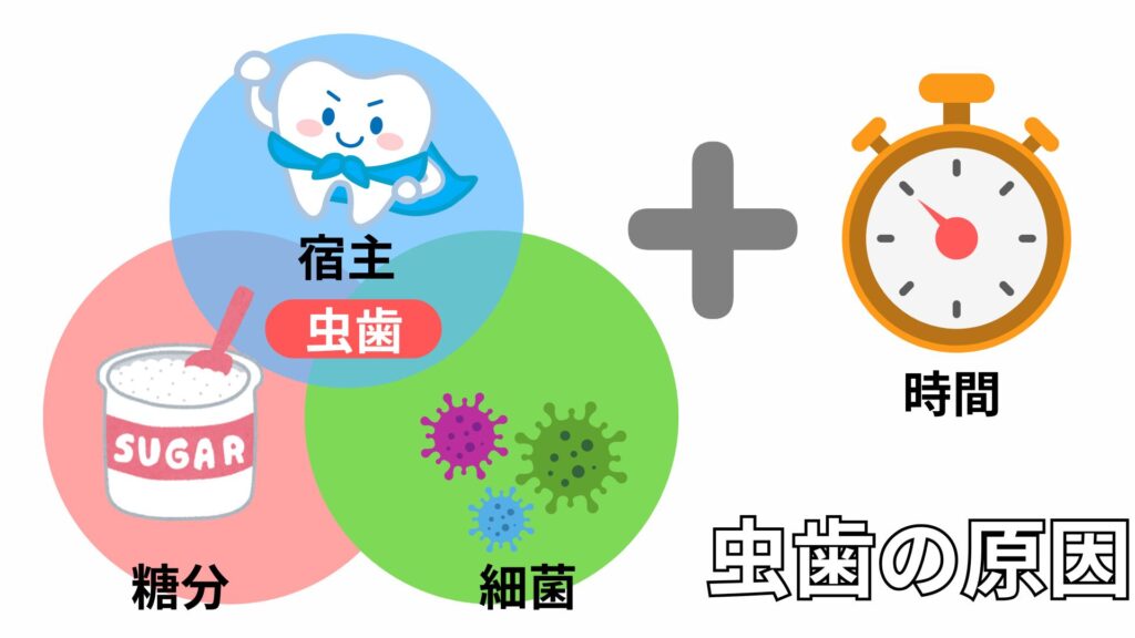 虫歯になる原因