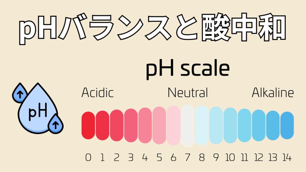 pHバランスと酸中和の関係