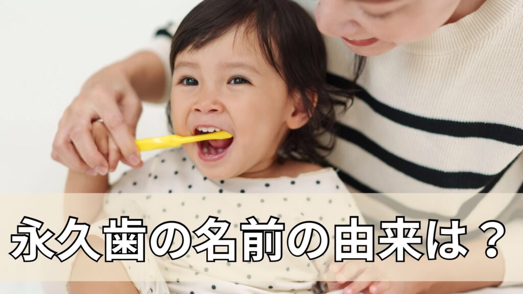 歯磨きをしてもらう女の子