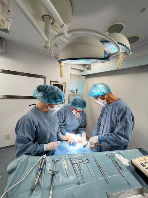 90歳の高齢者のインプラント治療をしている歯科医師たち