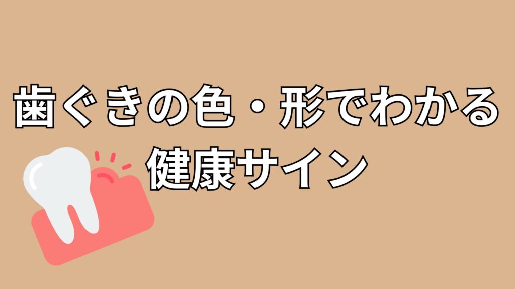 歯ぐきのイメージ