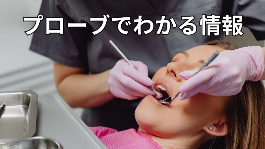 プローブを使用する様子