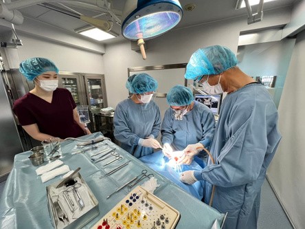 インプラント手術の様子