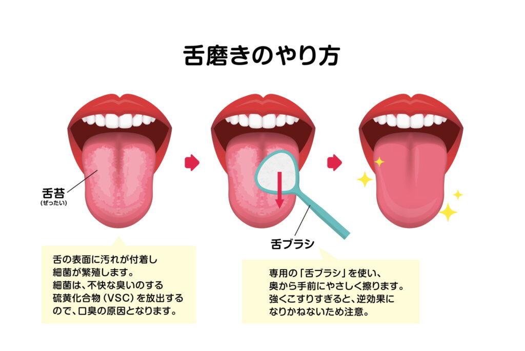 舌磨きのやり方