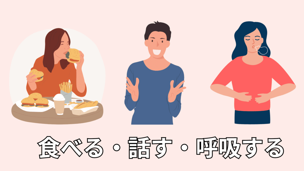 食べる・話す・呼吸するイメージ