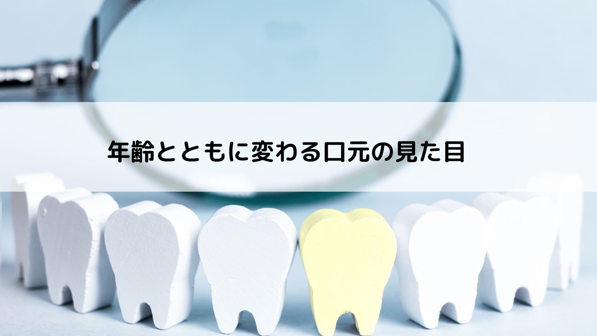 歯のイメージ